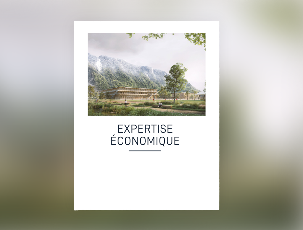 AMO_MEP_Tronchenaz_Villeneuve